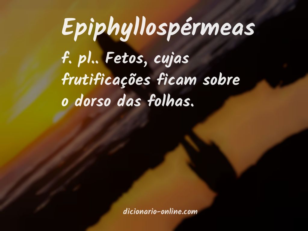 Significado de epiphyllospérmeas