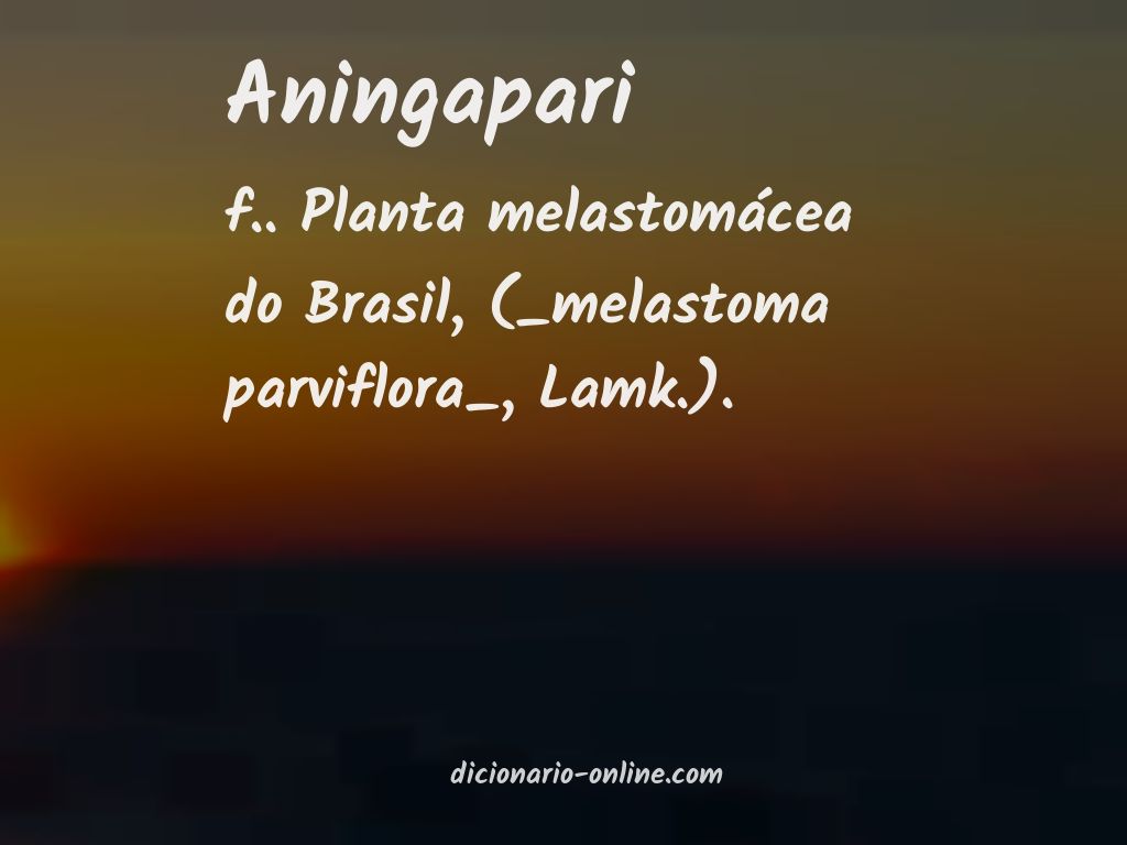 Significado de aningapari