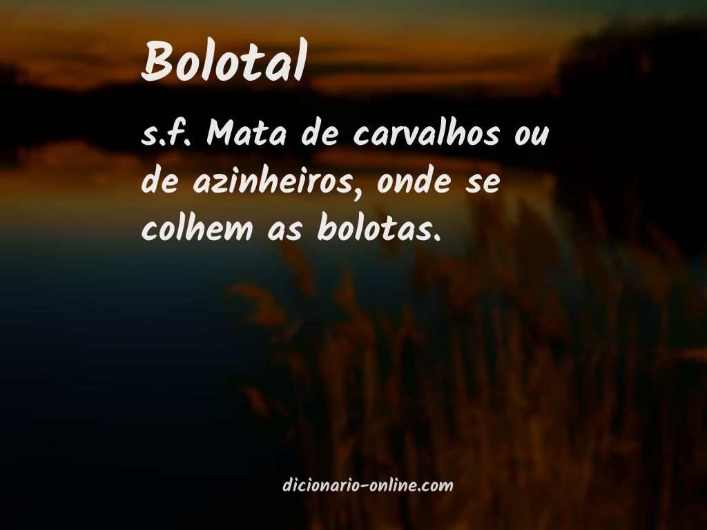 Significado de bolotal