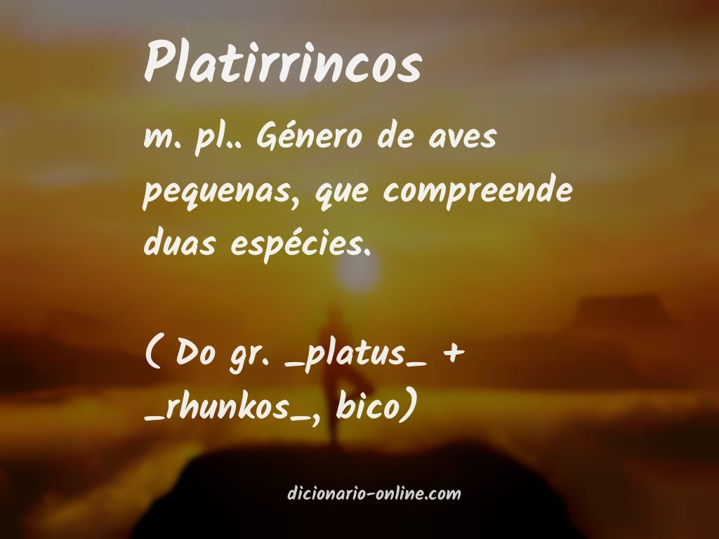 Significado de platirrincos