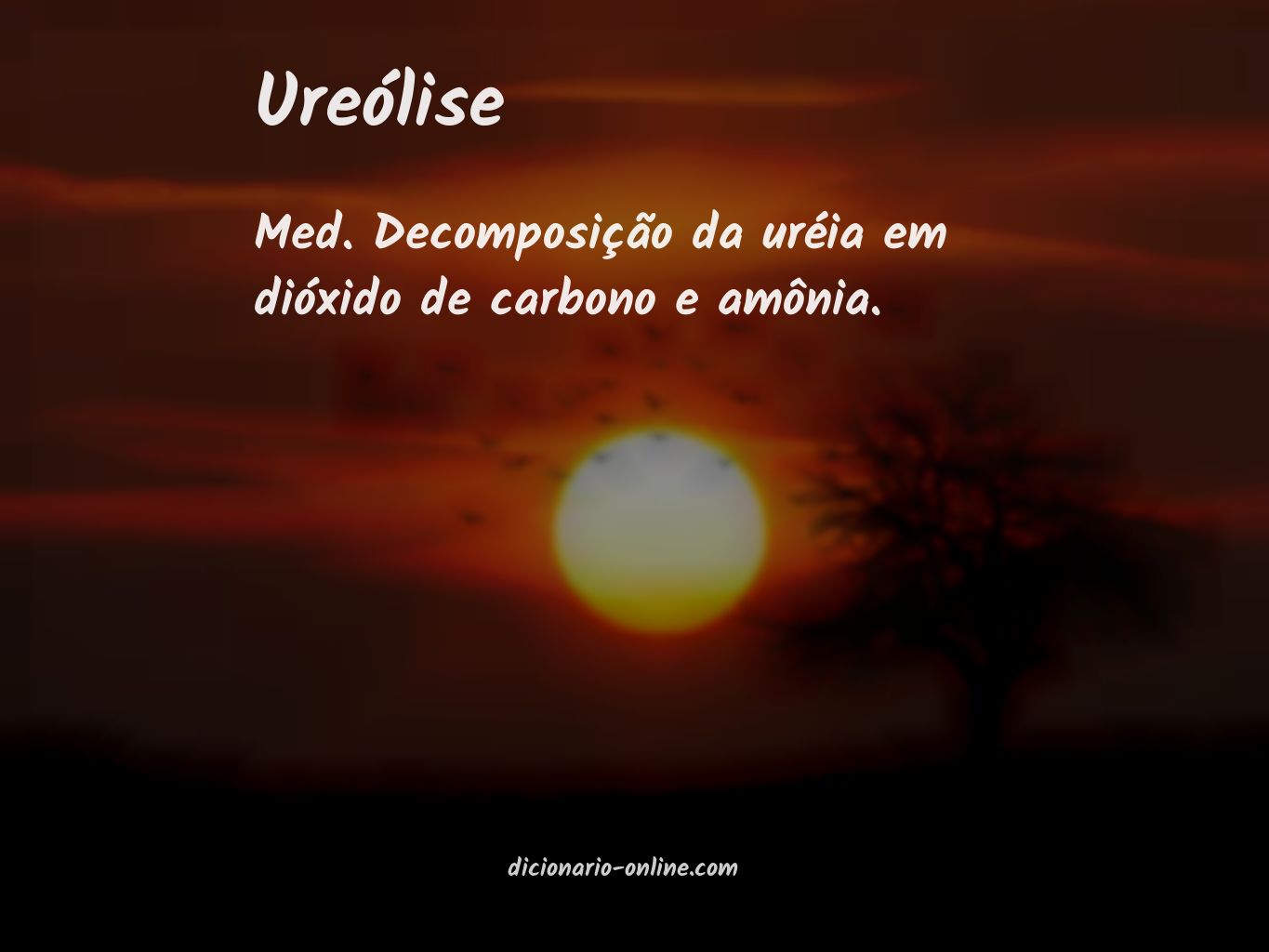 Significado de ureólise