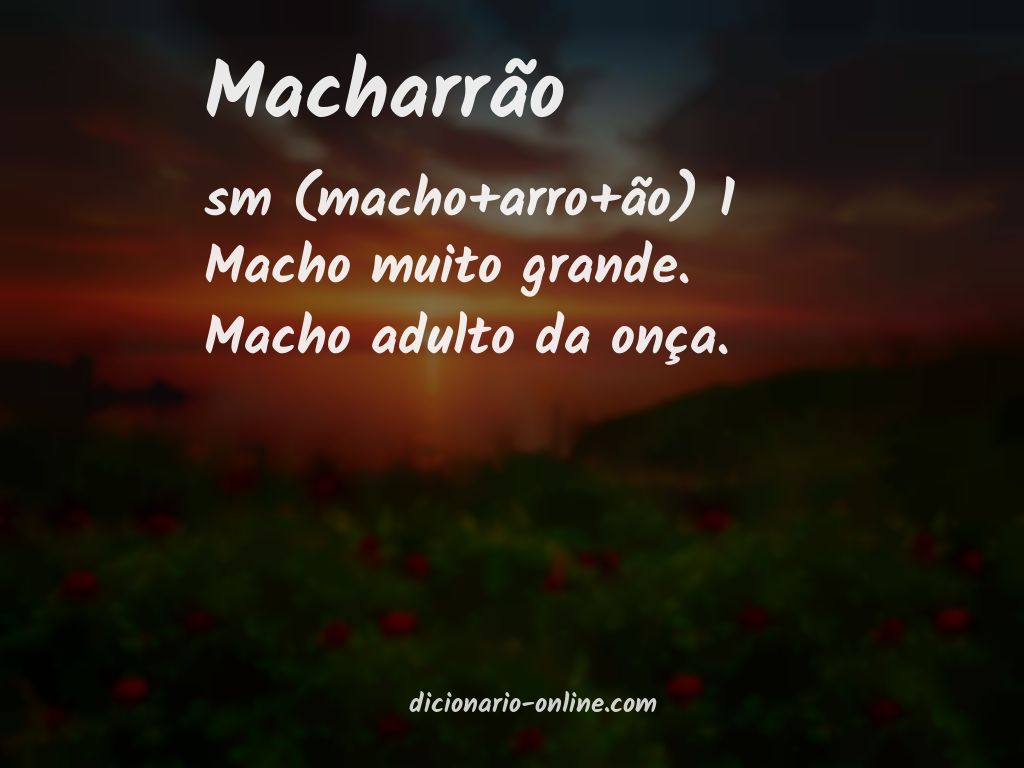 Significado de macharrão