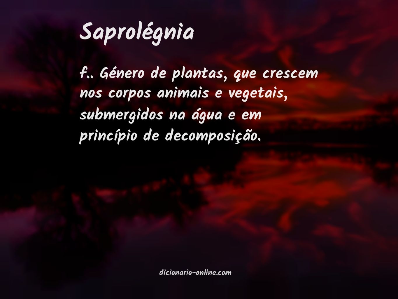 Significado de saprolégnia