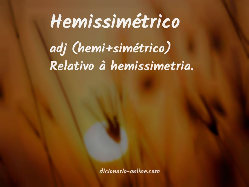 Significado de hemissimétrico