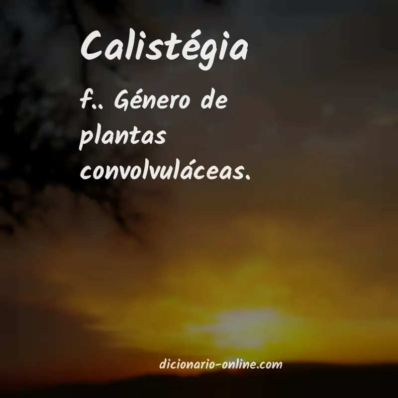 Significado de calistégia