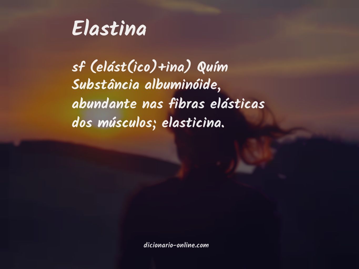 Significado de elastina