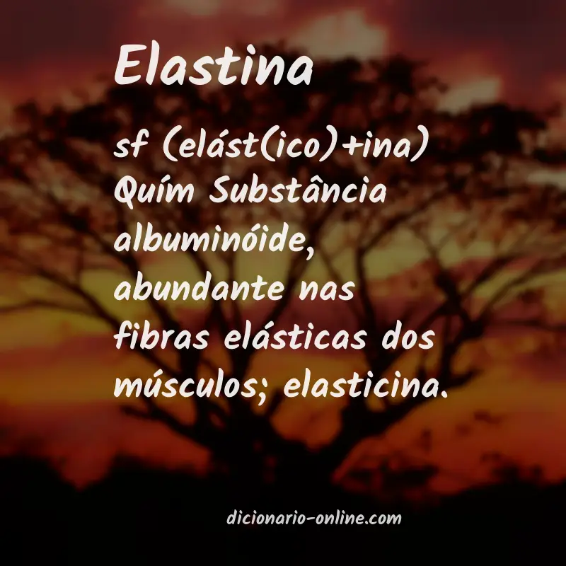 Significado de elastina