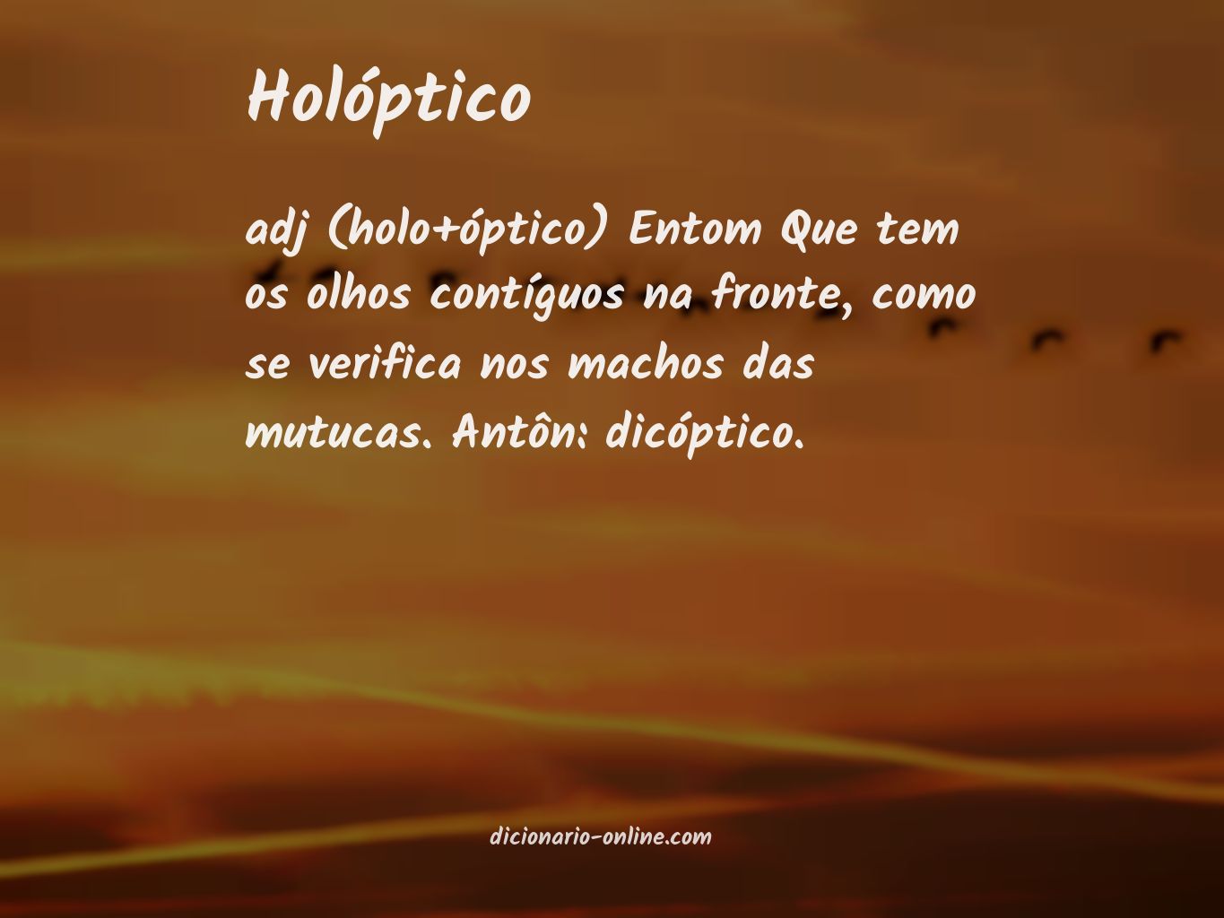 Significado de holóptico