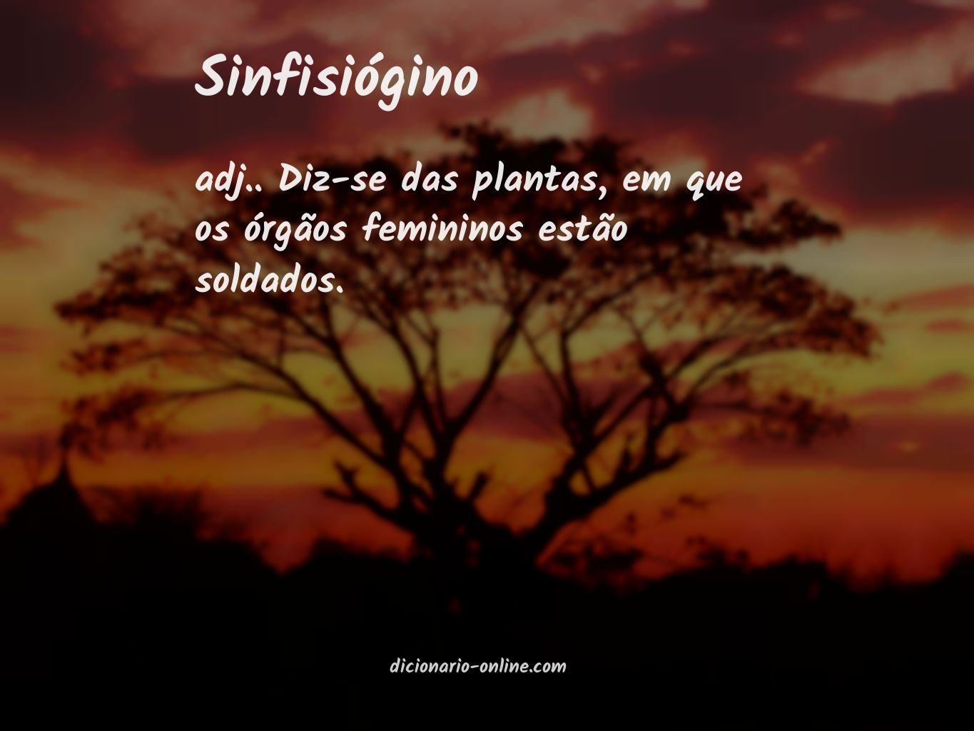 Significado de sinfisiógino