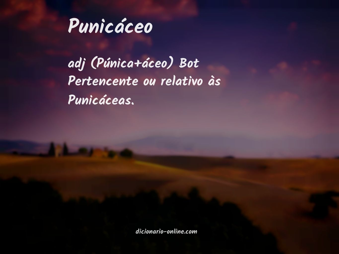 Significado de punicáceo