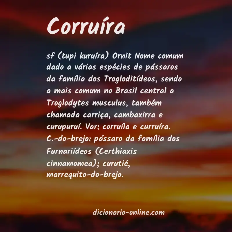 Significado de corruíra