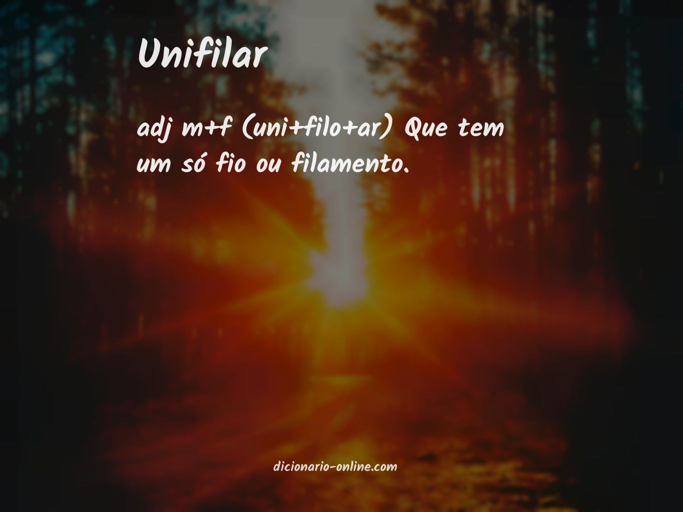 Significado de unifilar