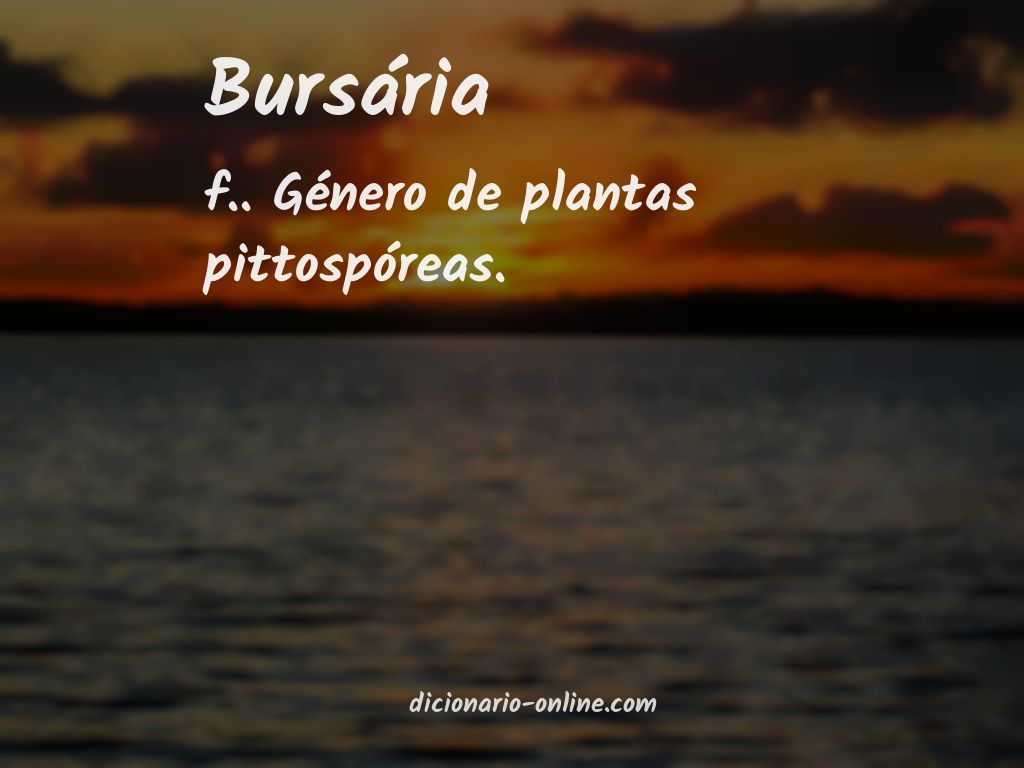 Significado de bursária