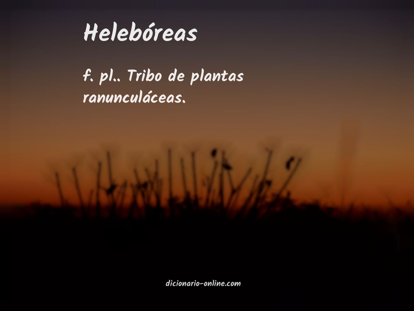 Significado de helebóreas