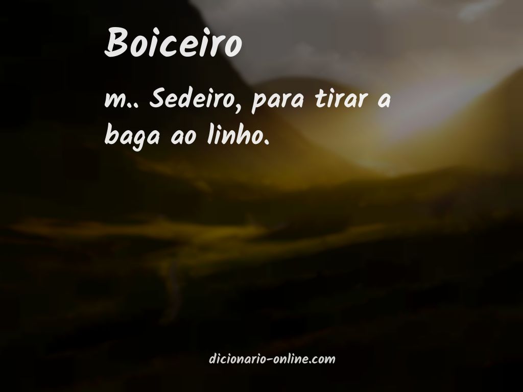 Significado de boiceiro