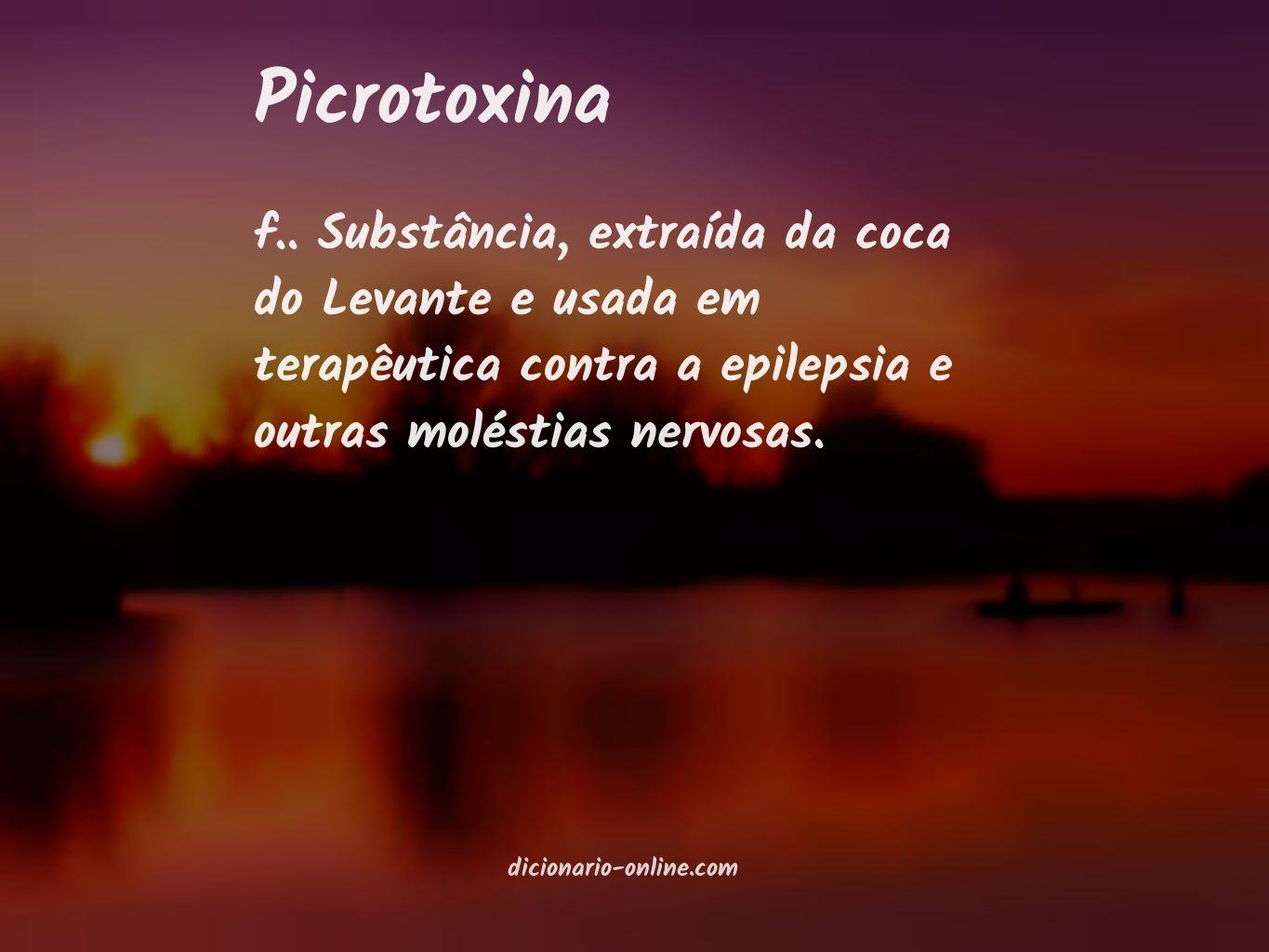 Significado de picrotoxina