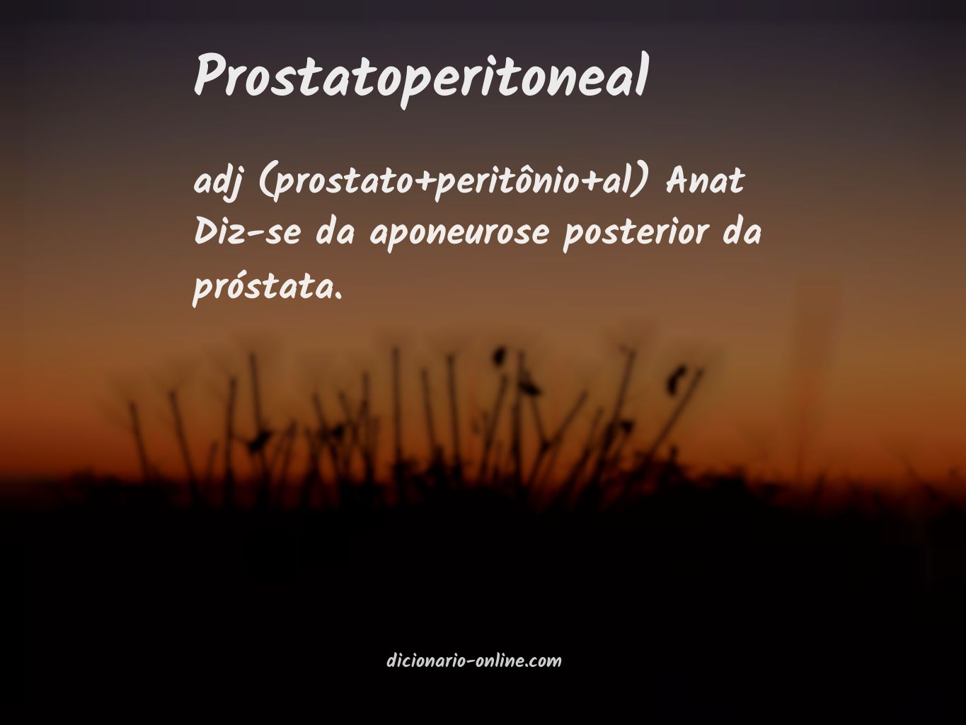 Significado de prostatoperitoneal