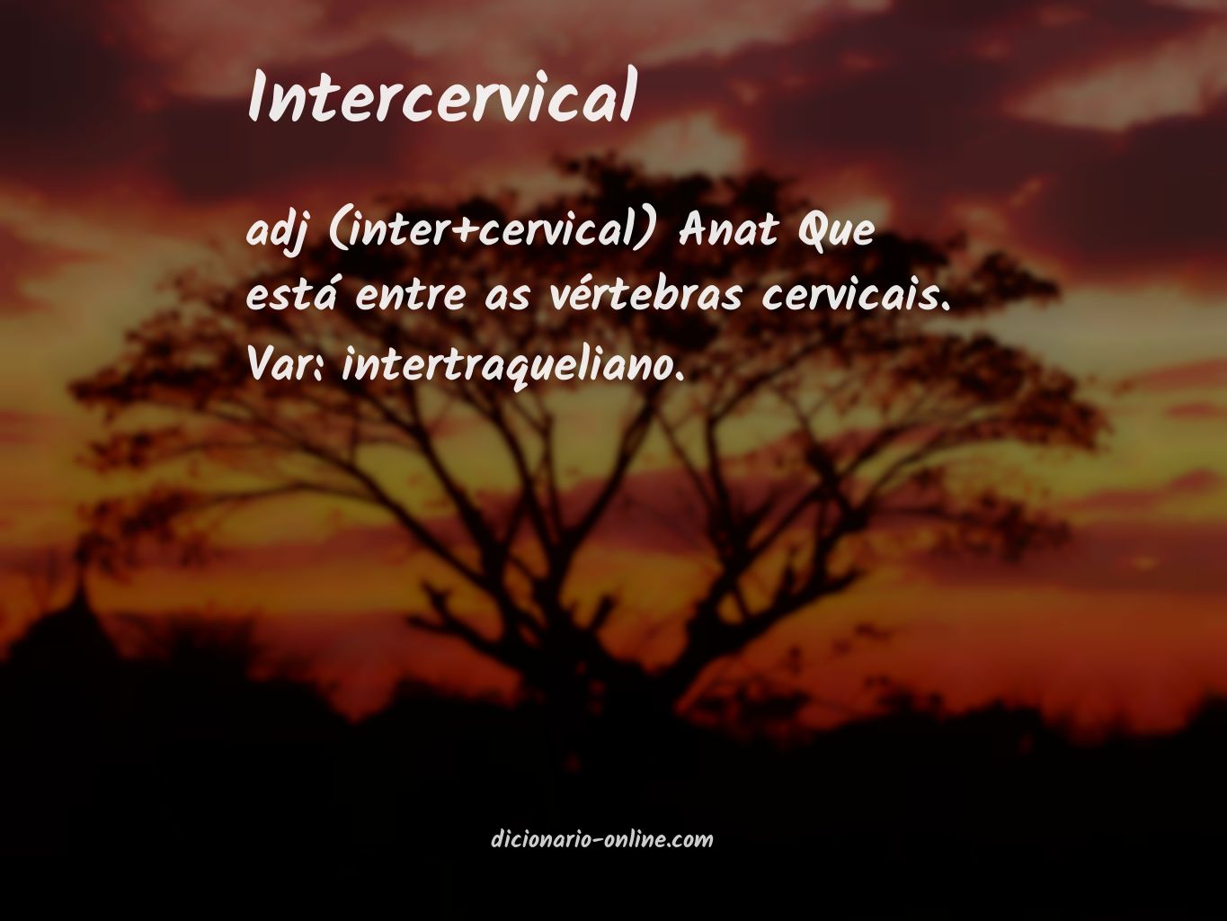 Significado de intercervical