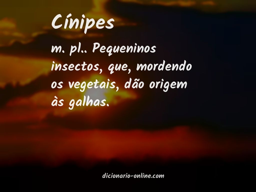 Significado de cínipes