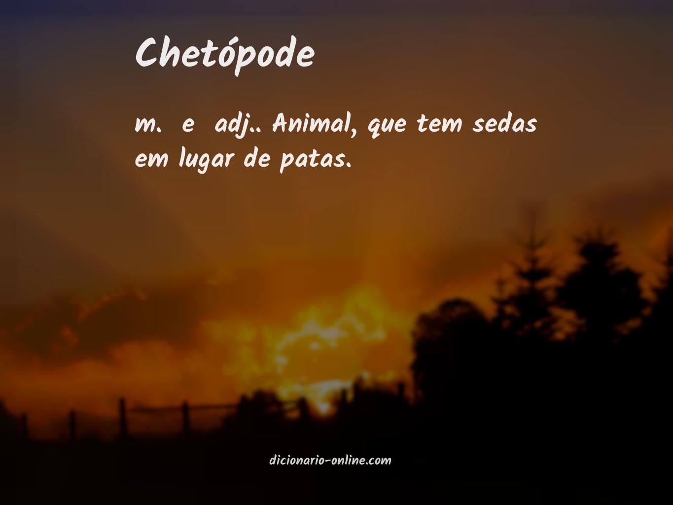 Significado de chetópode