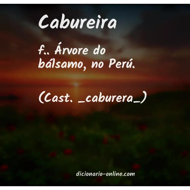 Significado de cabureira