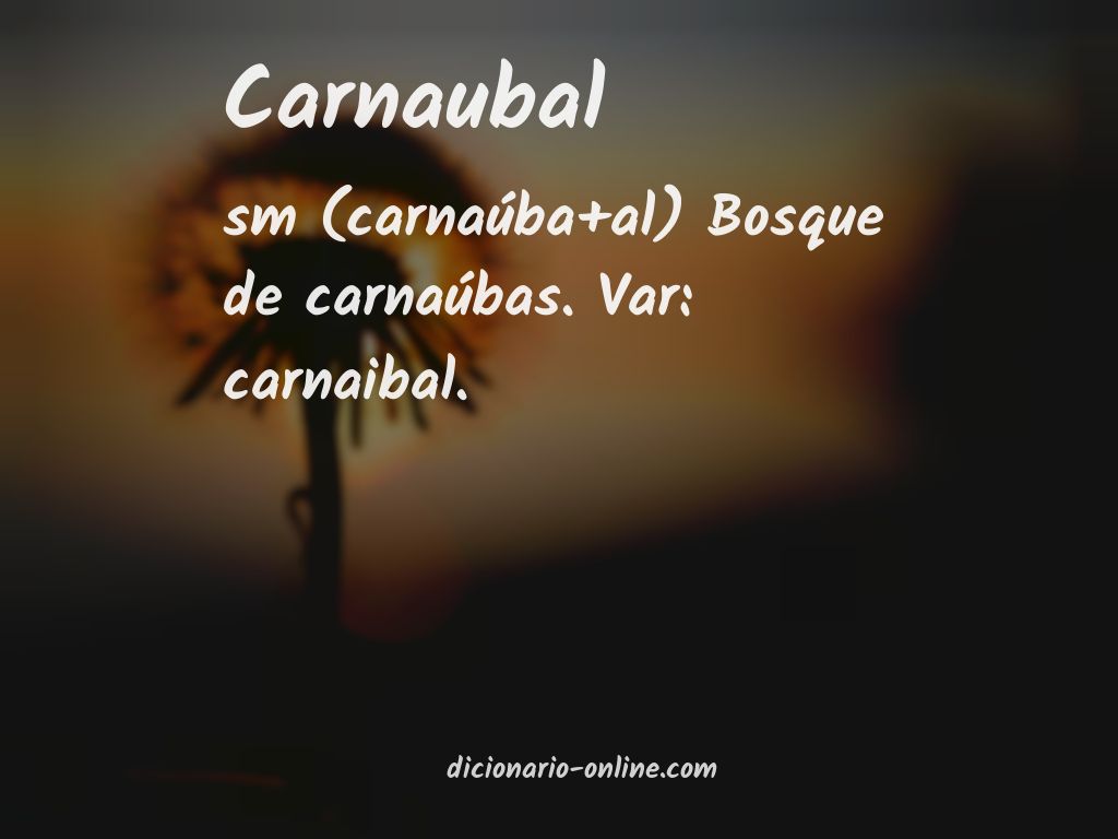 Significado de carnaubal