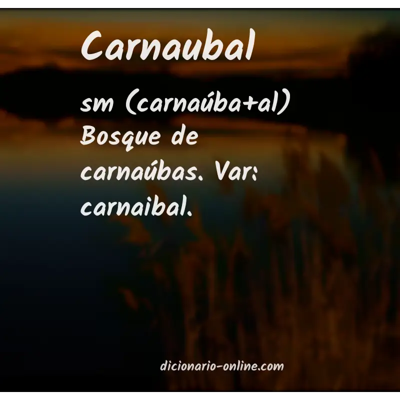 Significado de carnaubal
