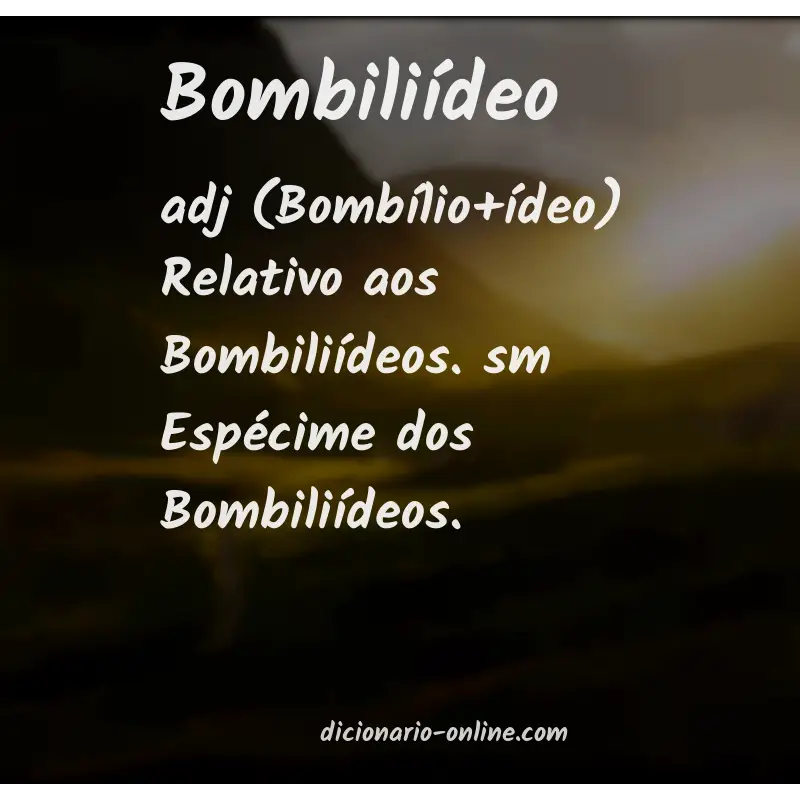 Significado de bombiliídeo