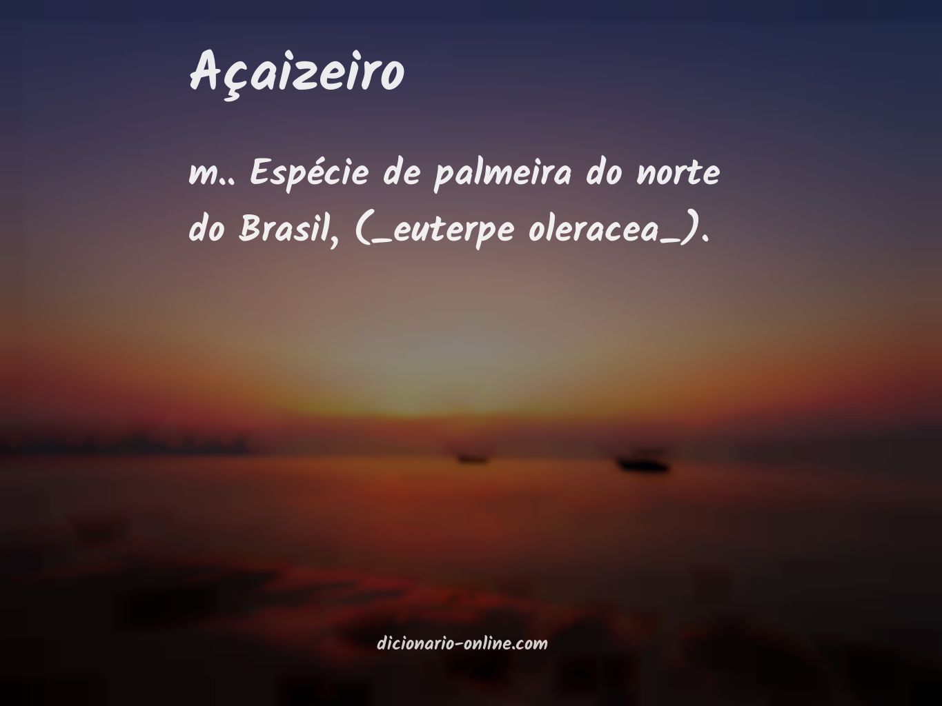 Significado de açaizeiro