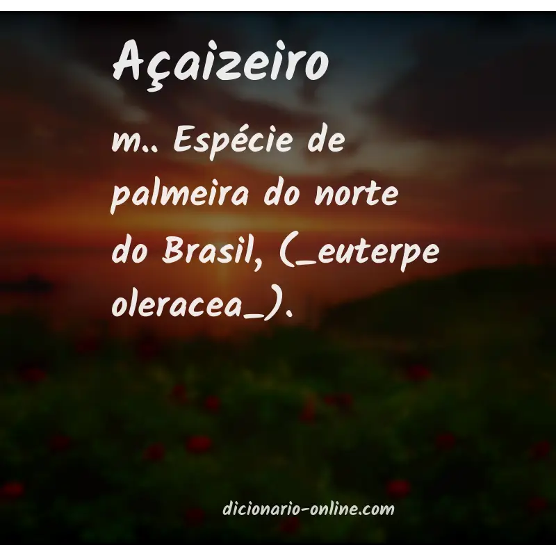 Significado de açaizeiro