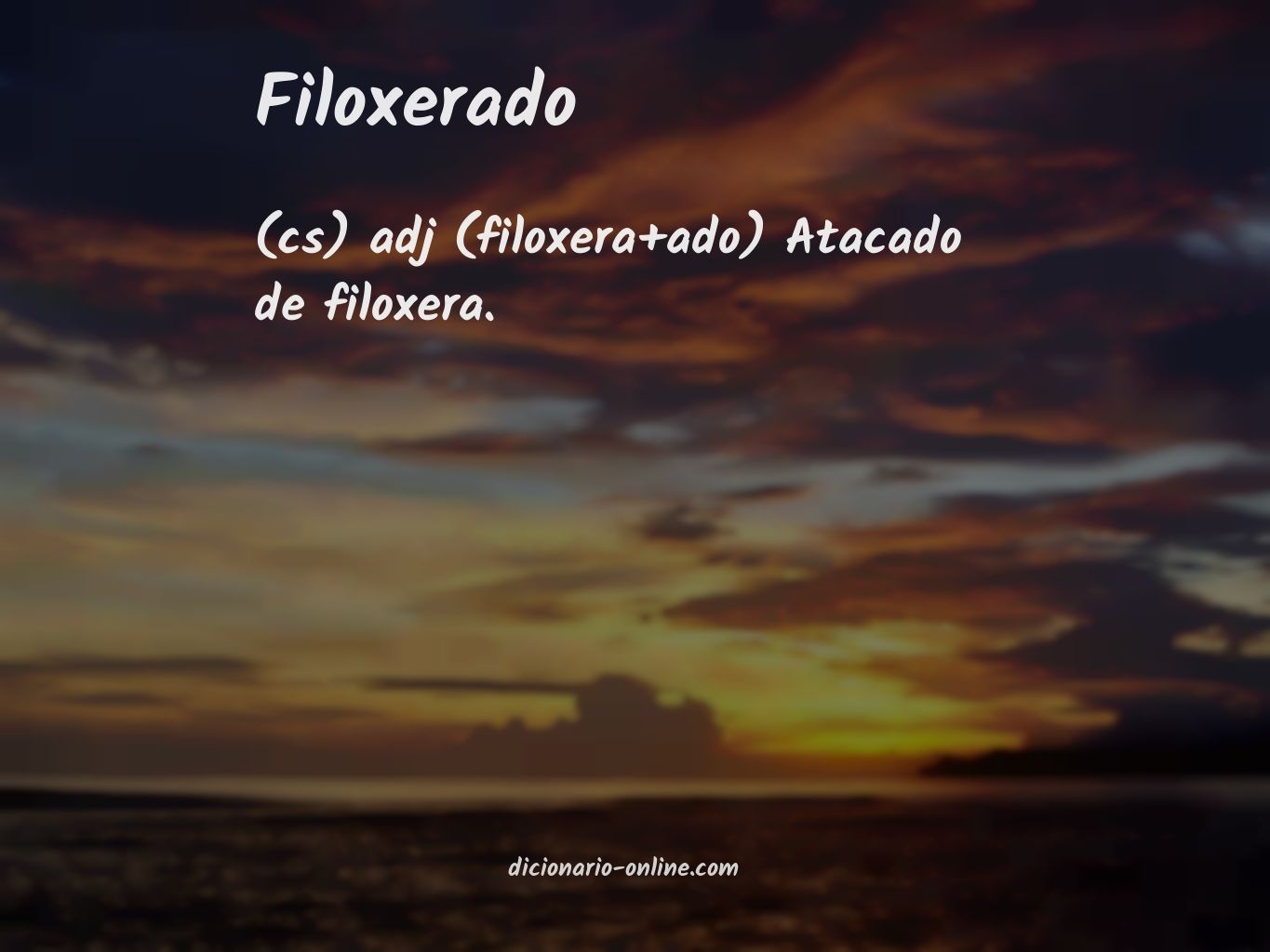 Significado de filoxerado