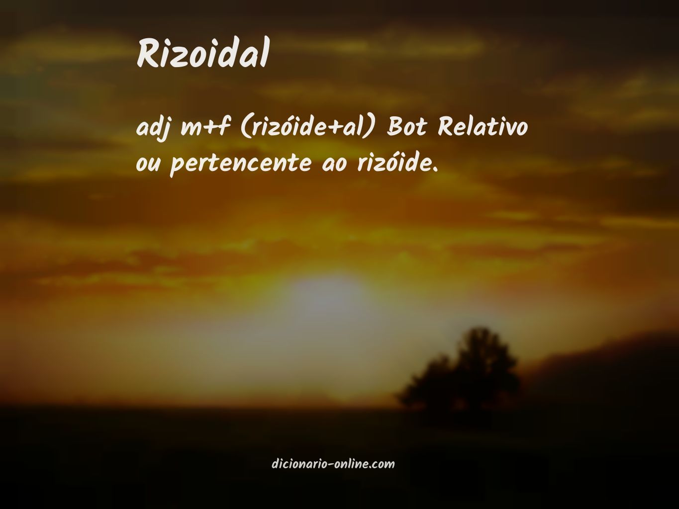 Significado de rizoidal