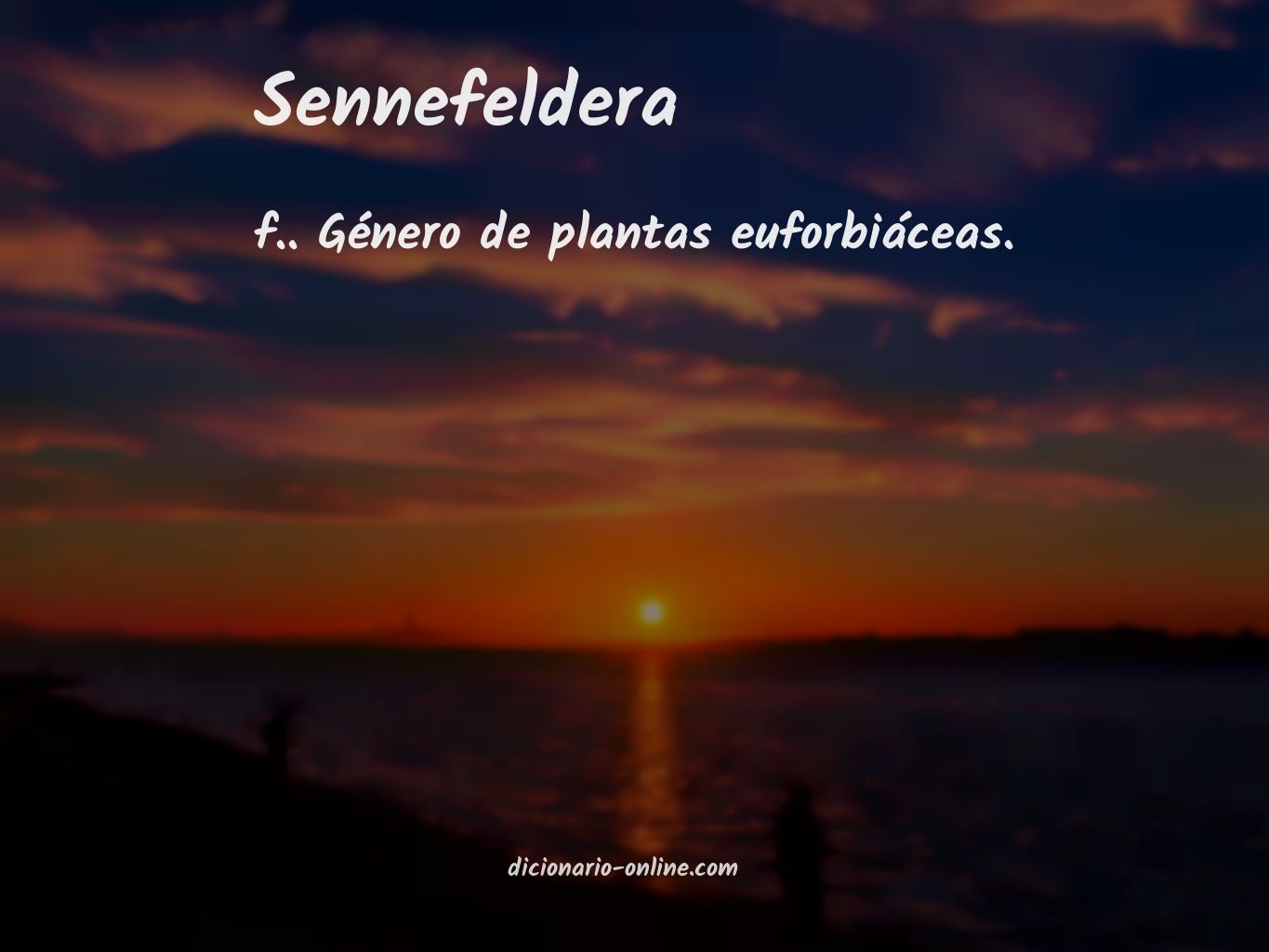 Significado de sennefeldera