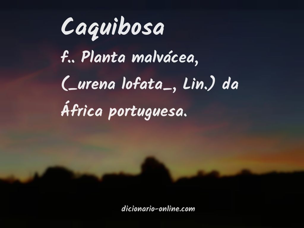 Significado de caquibosa