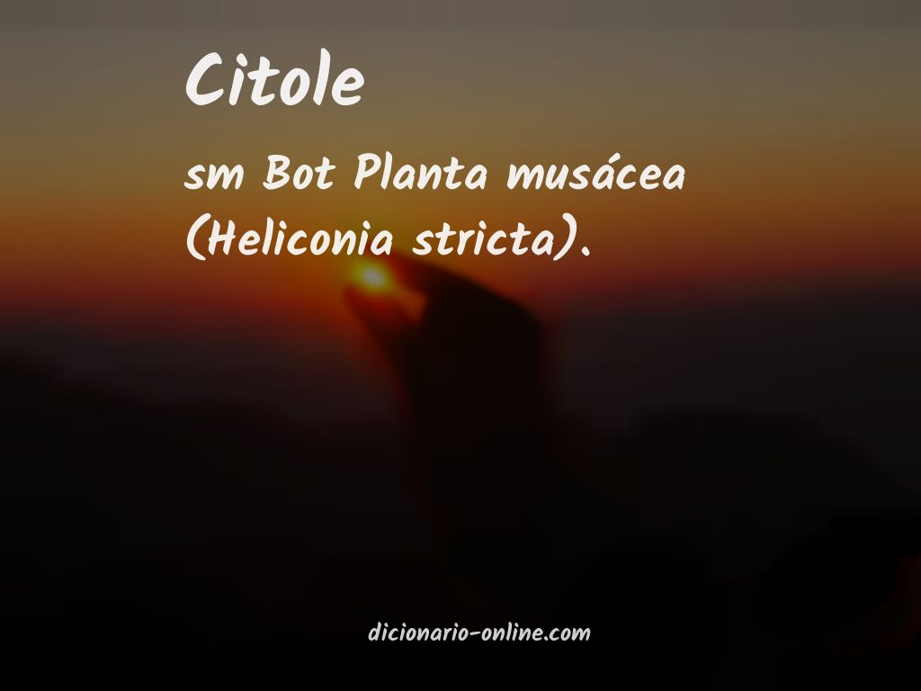 Significado de citole