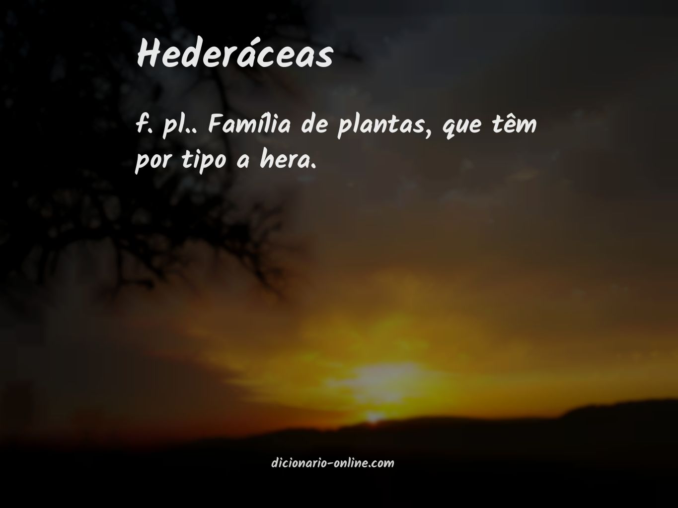 Significado de hederáceas