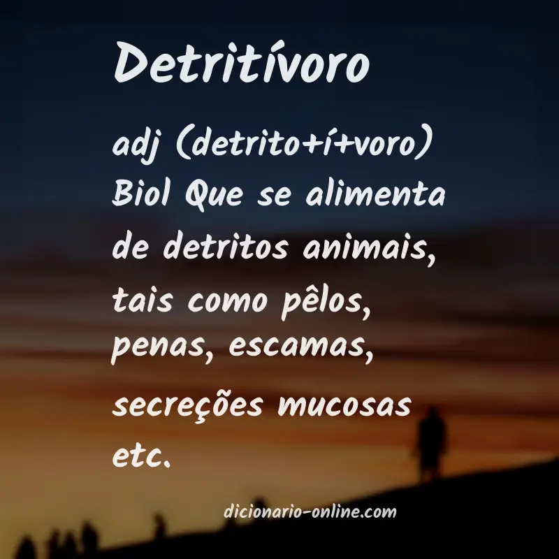 Significado de detritívoro