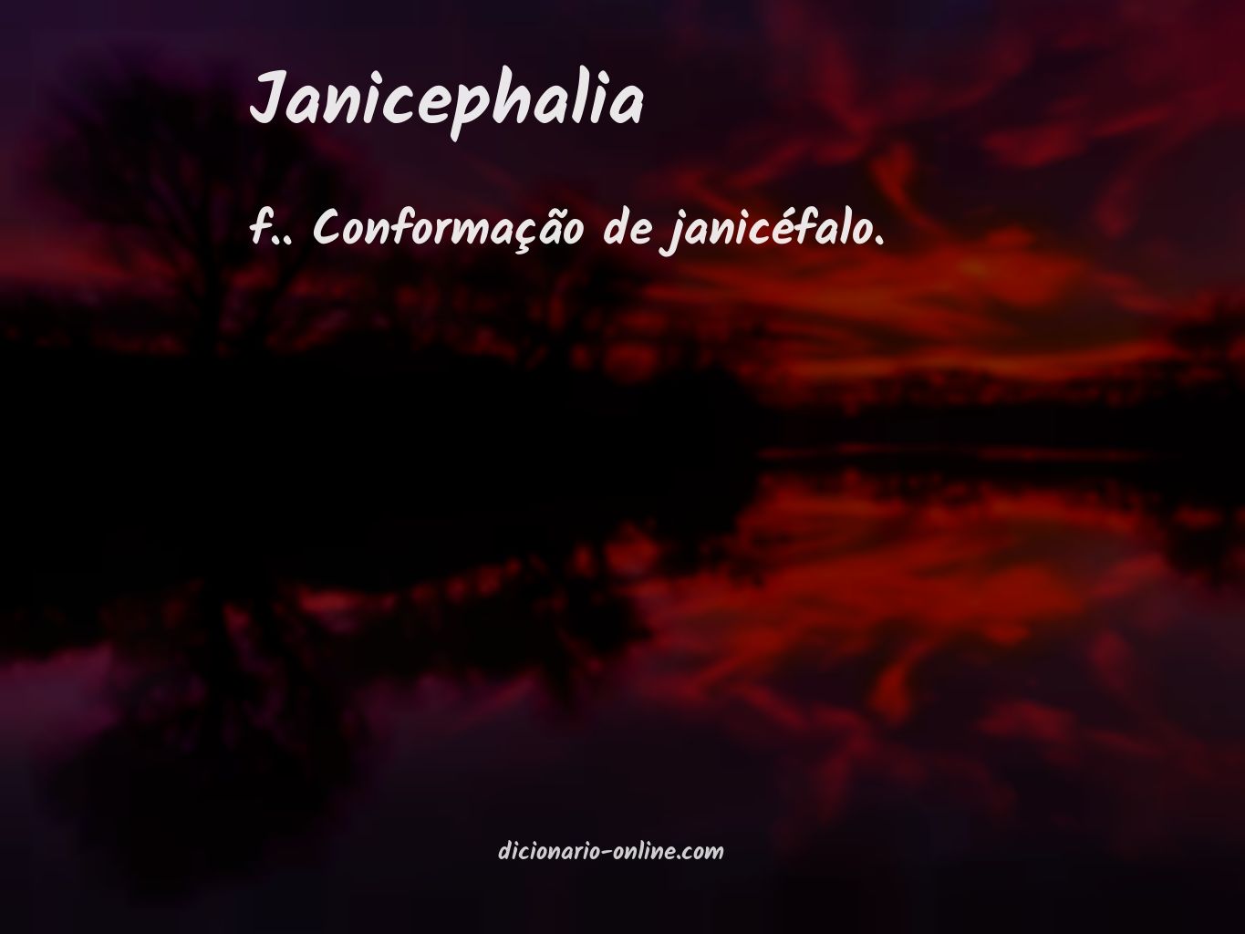 Significado de janicephalia