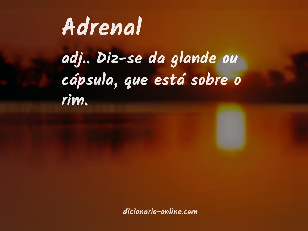 Significado de adrenal