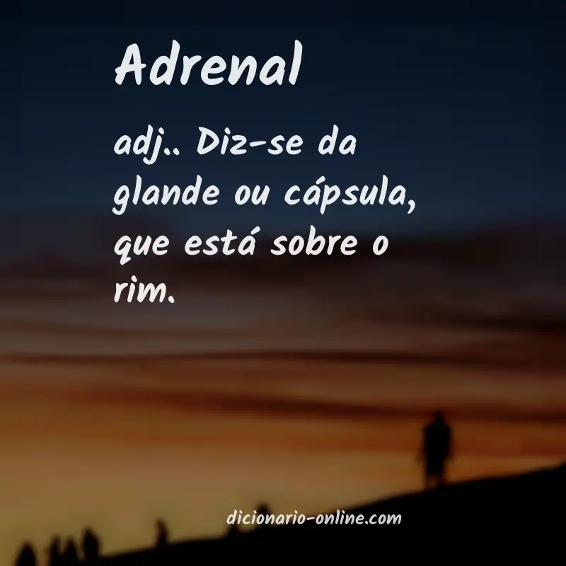 Significado de adrenal