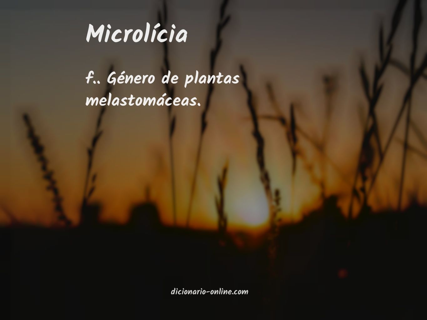 Significado de microlícia