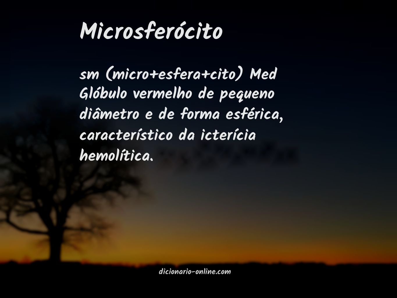 Significado de microsferócito