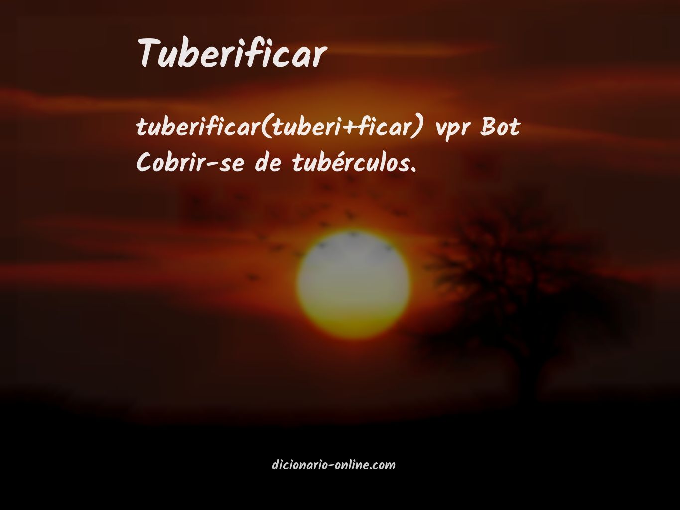 Significado de tuberificar