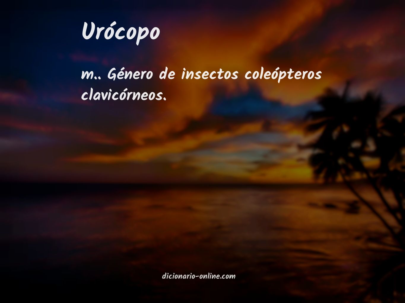 Significado de urócopo