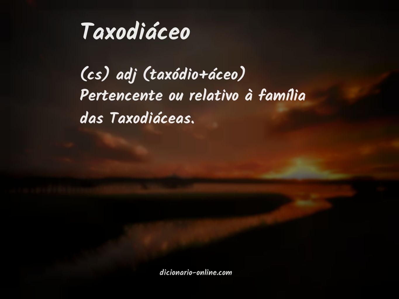 Significado de taxodiáceo