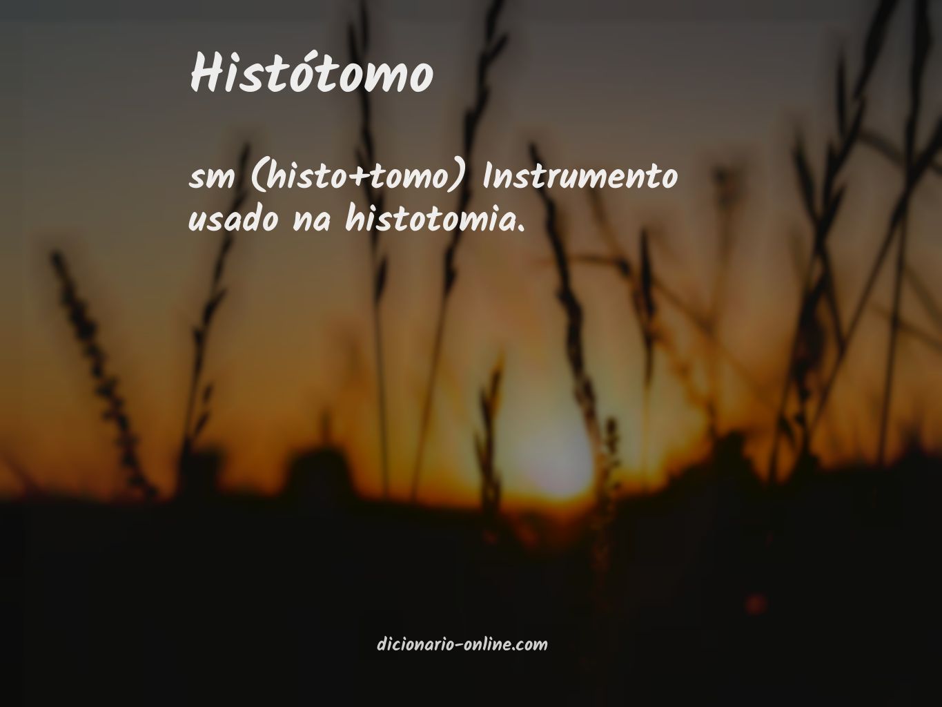 Significado de histótomo