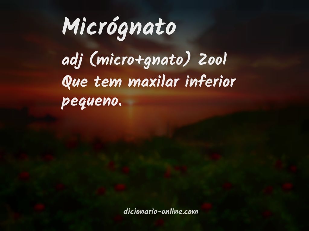 Significado de micrógnato