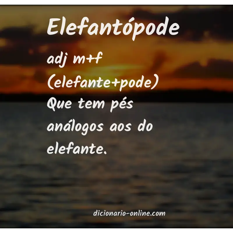 Significado de elefantópode