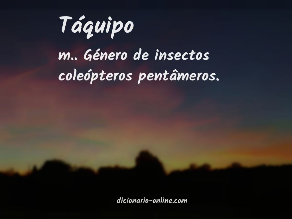 Significado de táquipo