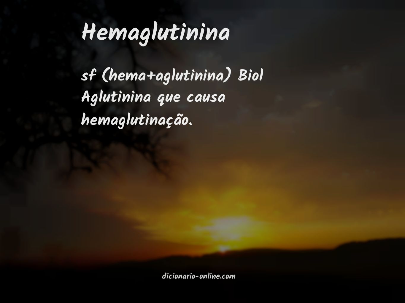 Significado de hemaglutinina